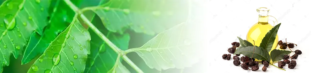 banner neem oil