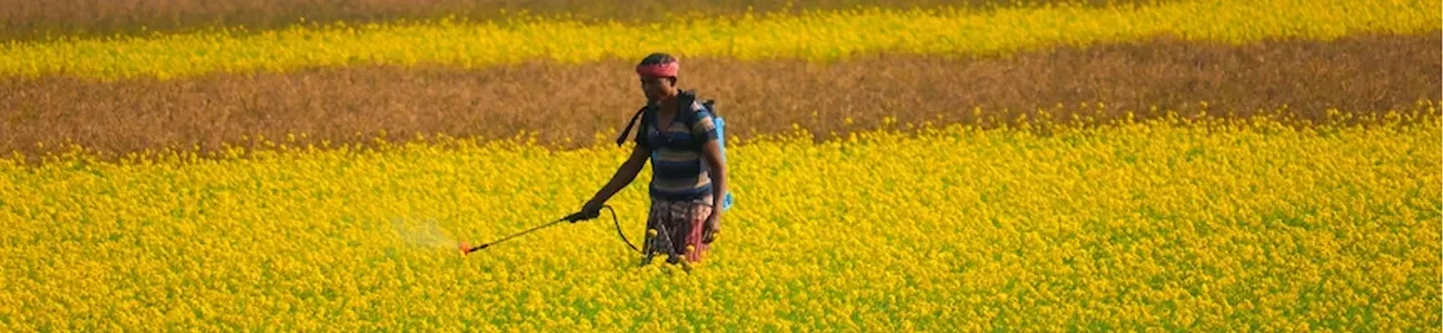 organic pesticide